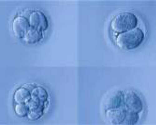 国内代孕电话,分享:国内前往太平洋IVF研究所试管婴儿流程