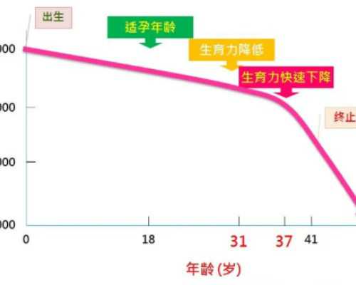 国内供卵价位查询,沈阳三代试管医院排名前十榜单中哪家成功率最高？