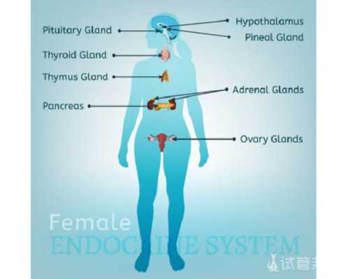 国内三代代孕咨询机构,试管婴儿技术展望 海外试管婴儿会更好吗