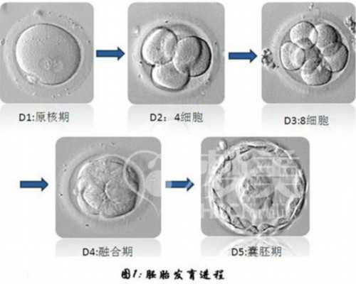 国内代生孩子电话,榆林什么医院可以做三代试管移植？需要多少费用？